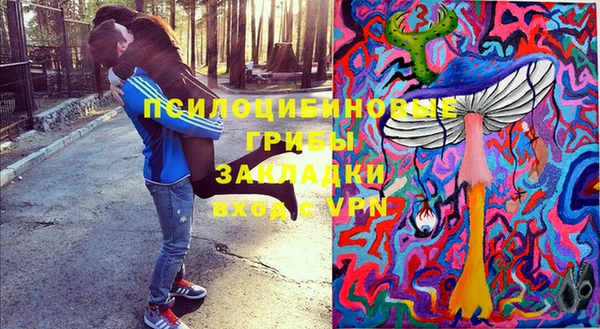 ALPHA PVP Костерёво